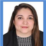 Profesor de contabilidad online